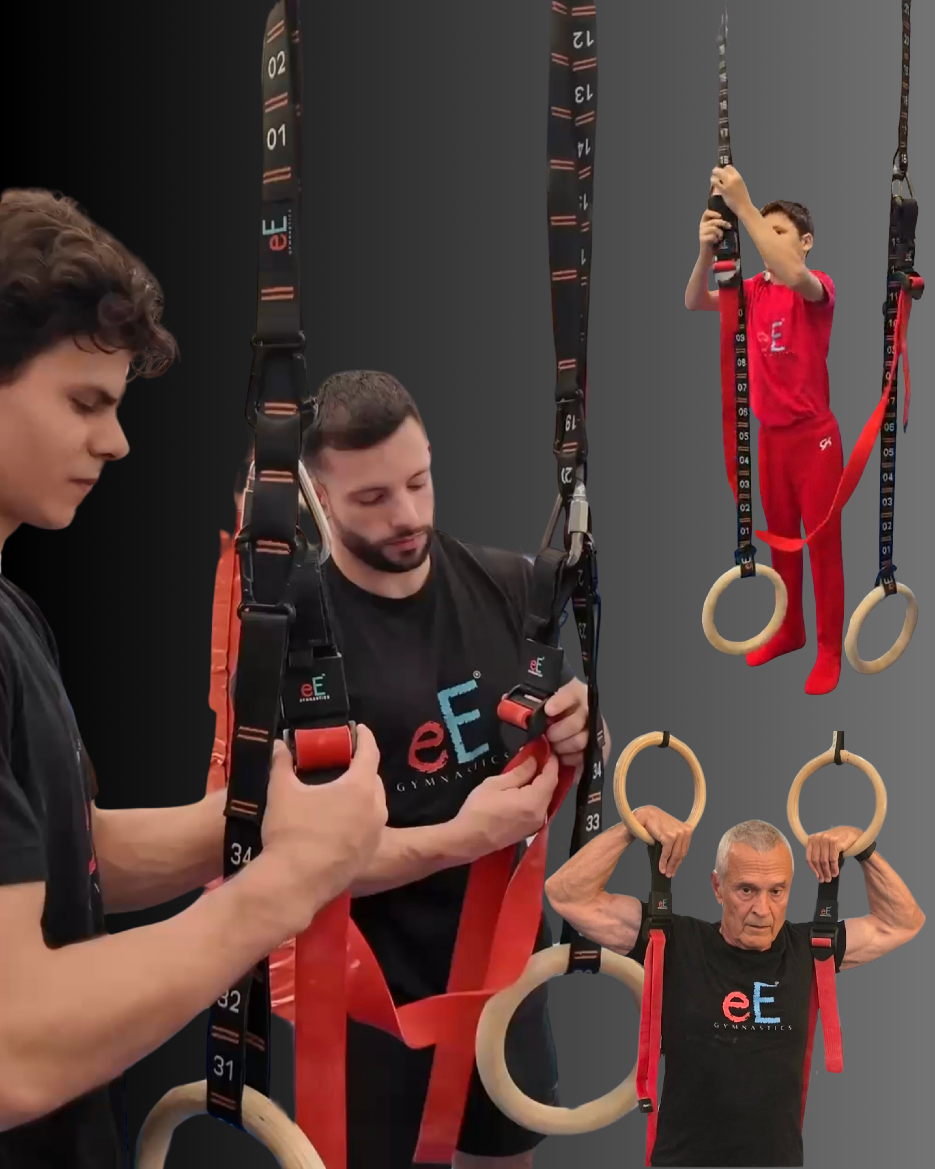 eE 50/50 Dual Assist System