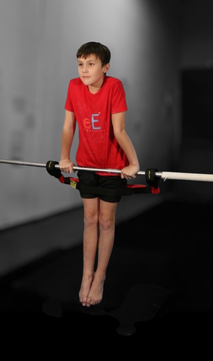 The Ultimate Bar Trainer