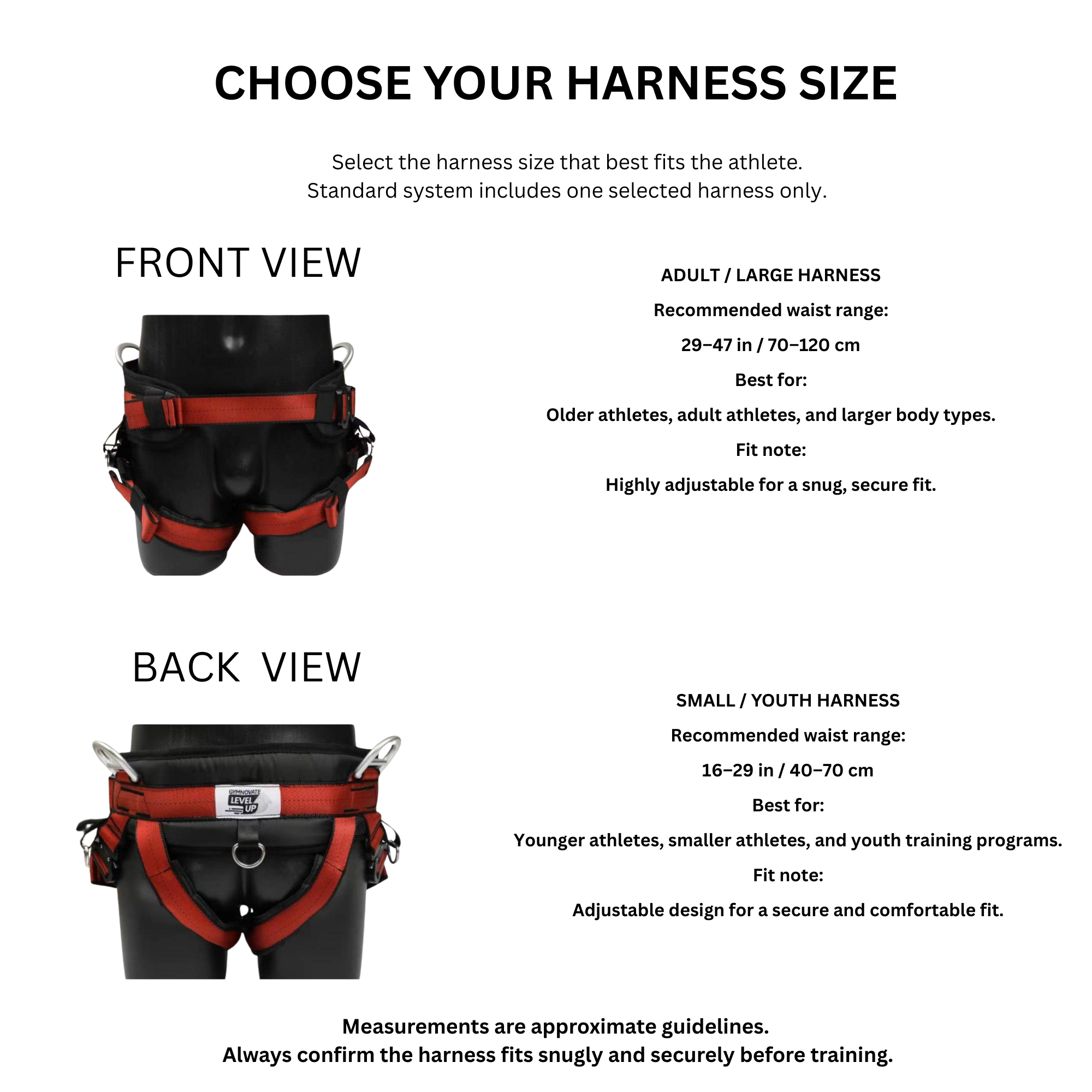 eE 50/50 Dual Assist System