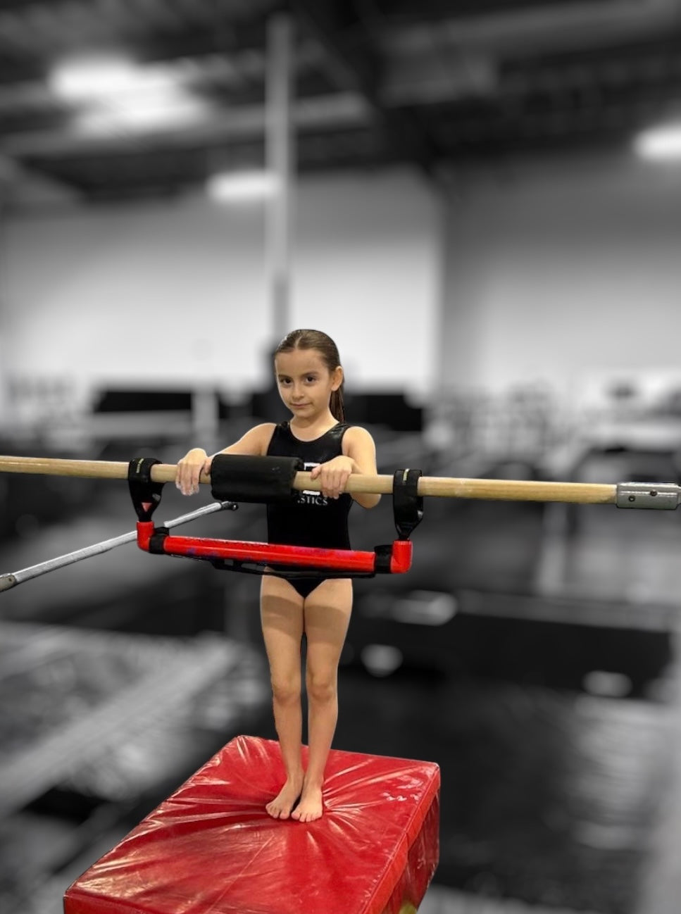 The Ultimate Bar Trainer