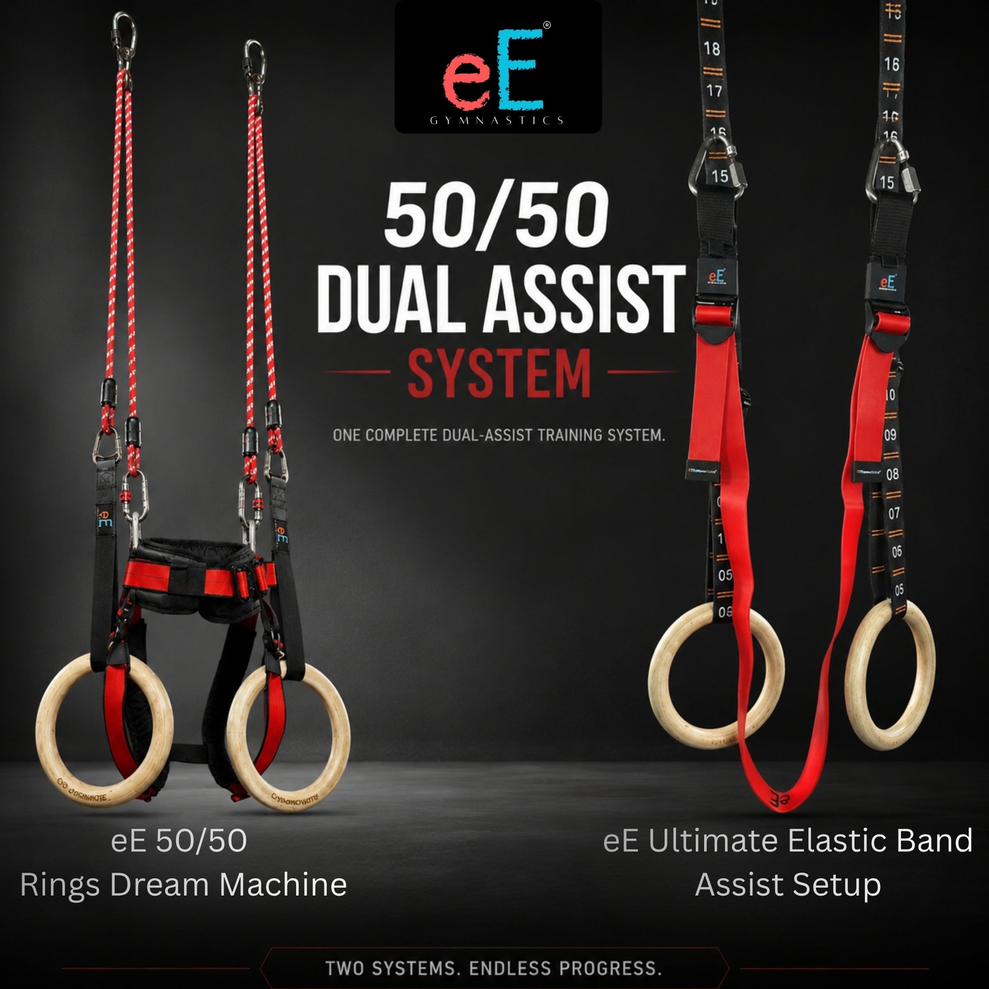 eE 50/50 Dual Assist System